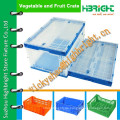 Lebensmittel-Grad transparente Aufbewahrungsbox für Obst und Gemüse im Kühlschrank